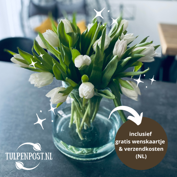 Boeket tulpen (30 tulpen)